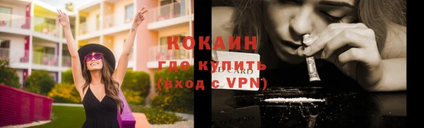 прущие грибы Карталы
