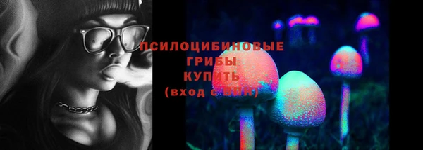 круглые Ельня