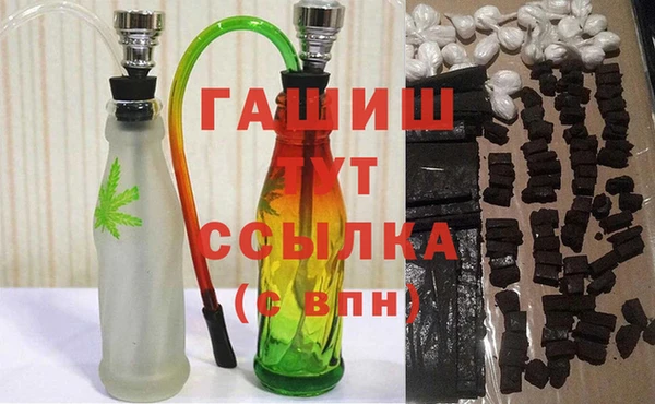 стафф Касимов