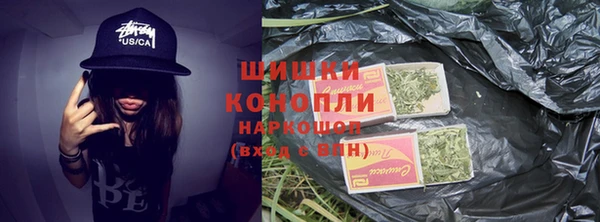 ГАЛЛЮЦИНОГЕННЫЕ ГРИБЫ Осинники