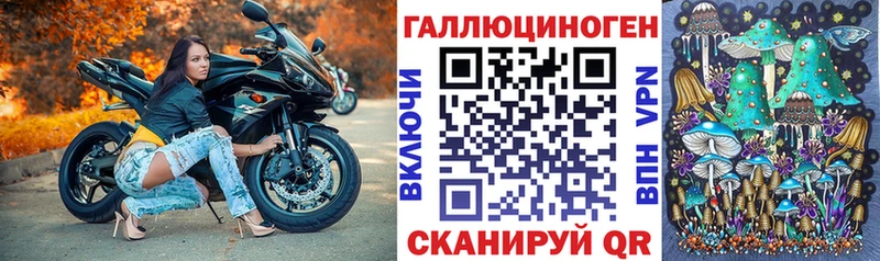 площадка какой сайт mega как войти Ипатово Псилоцибиновые грибы Psilocybine cubensis
