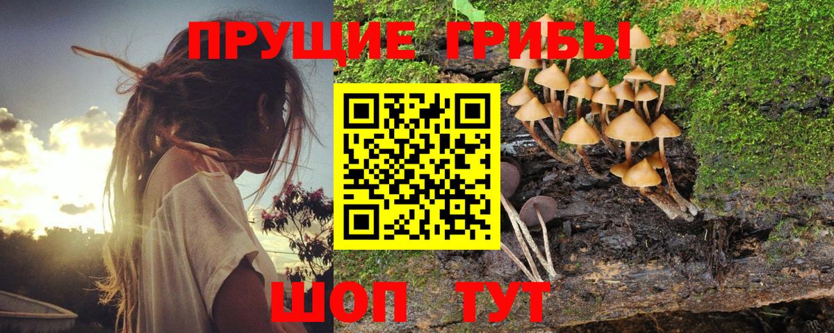 Псилоцибиновые грибы прущие грибы  Вход с VPN  Псилоцибиновые грибы ЛСД  Ипатово 
