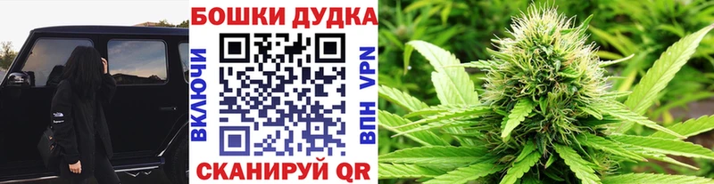 где можно купить Ипатово Конопля гибрид
